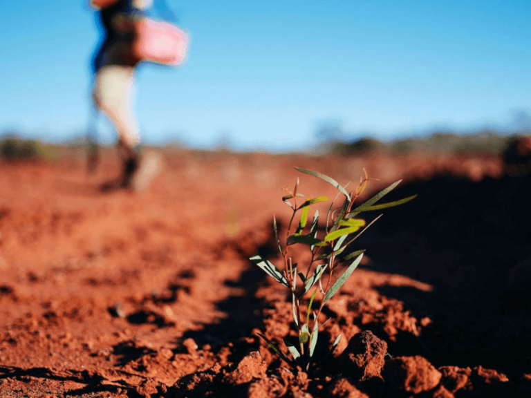 Carbon Neutral - WA - Compressed