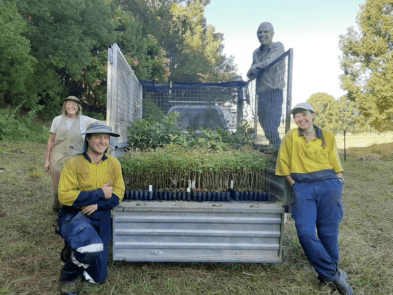 OneTreePlanted - QLD