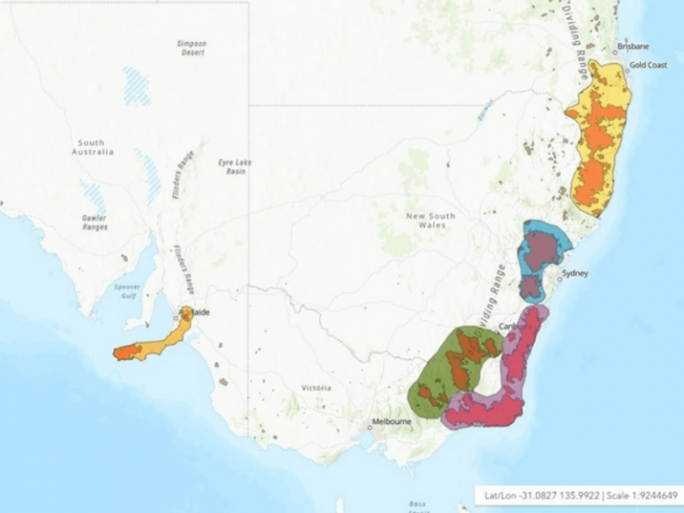 OneTreePlanted - QLD