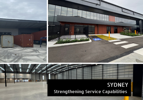 SYDNEY Strengthening Service Capabilities (1)