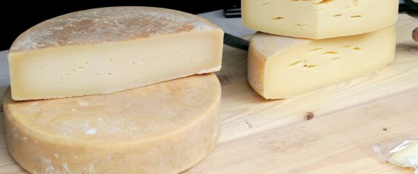 moritz320-cheese-3658141